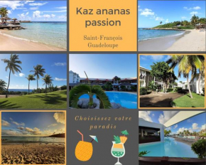 F3 _ Kaz ananas passion au Manganao